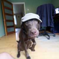 Close-Up_With_a_Wide-Angle_Lens_Wearing_Hats