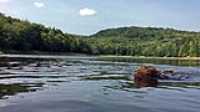 daiga_swim_dam_lake_waterlevel