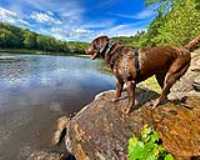 labrador_week_end_lake