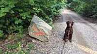 taiga_dune_granite