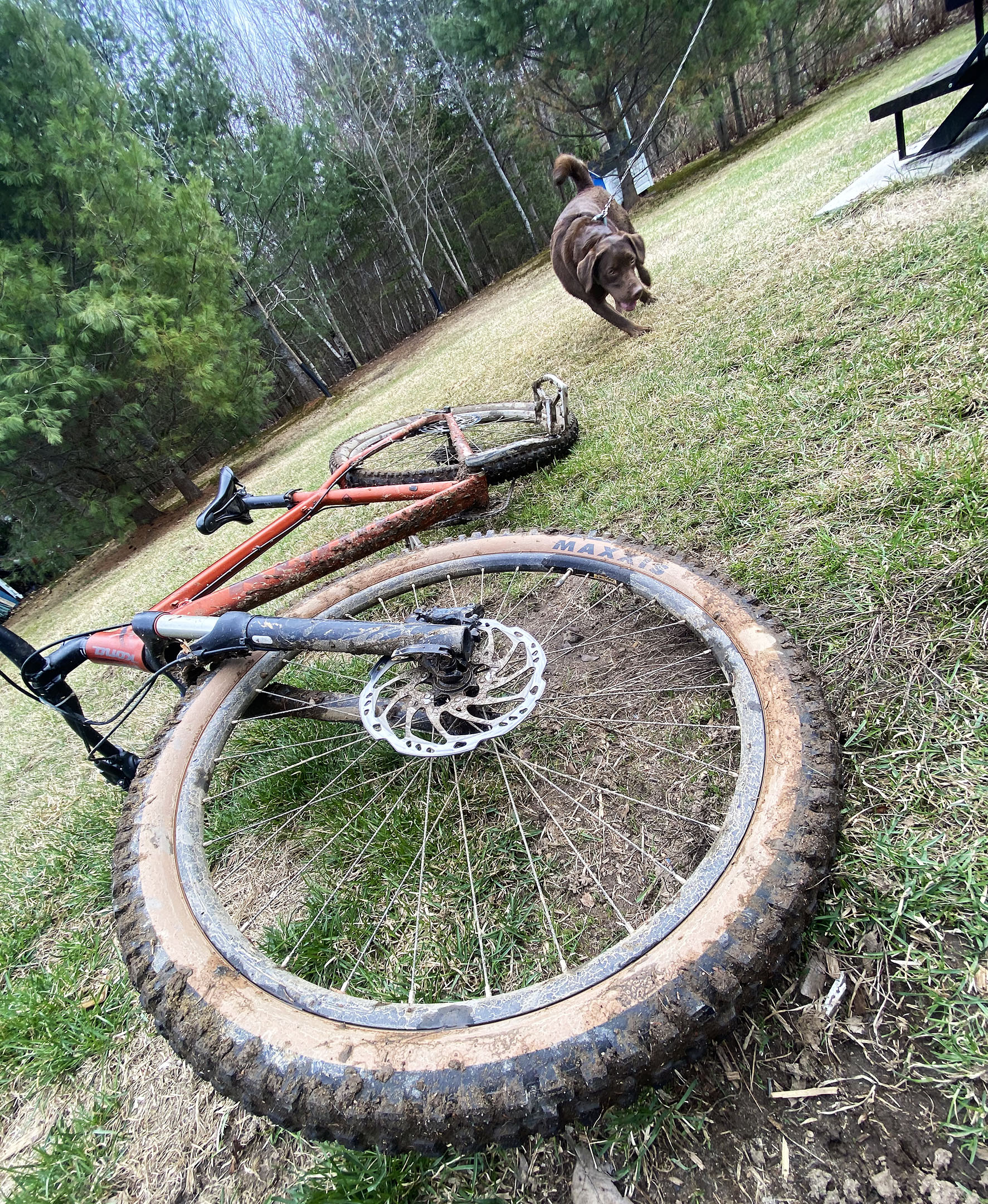 bike_maxxis_tanwall_assegai_front_tire