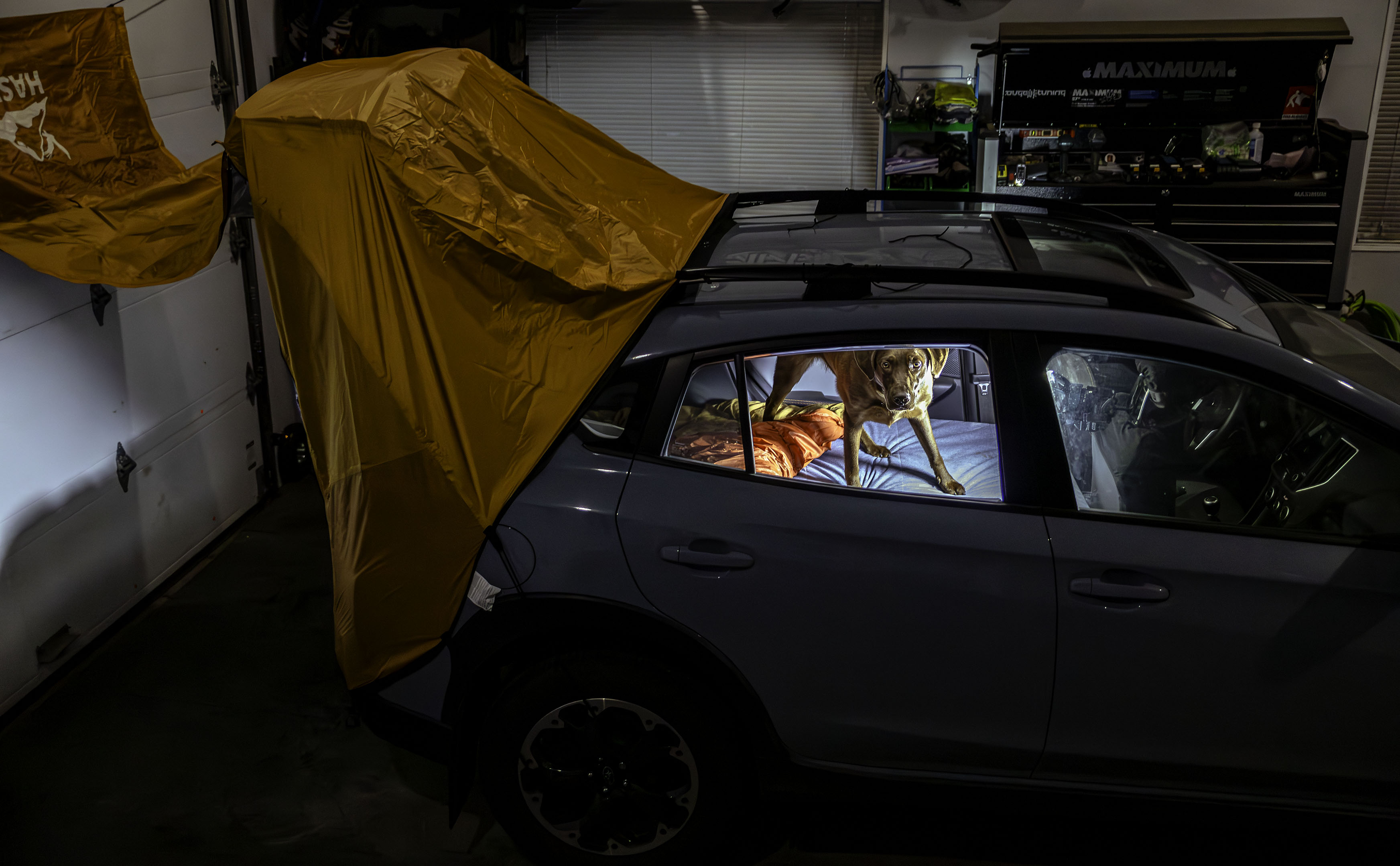 car_tent_side