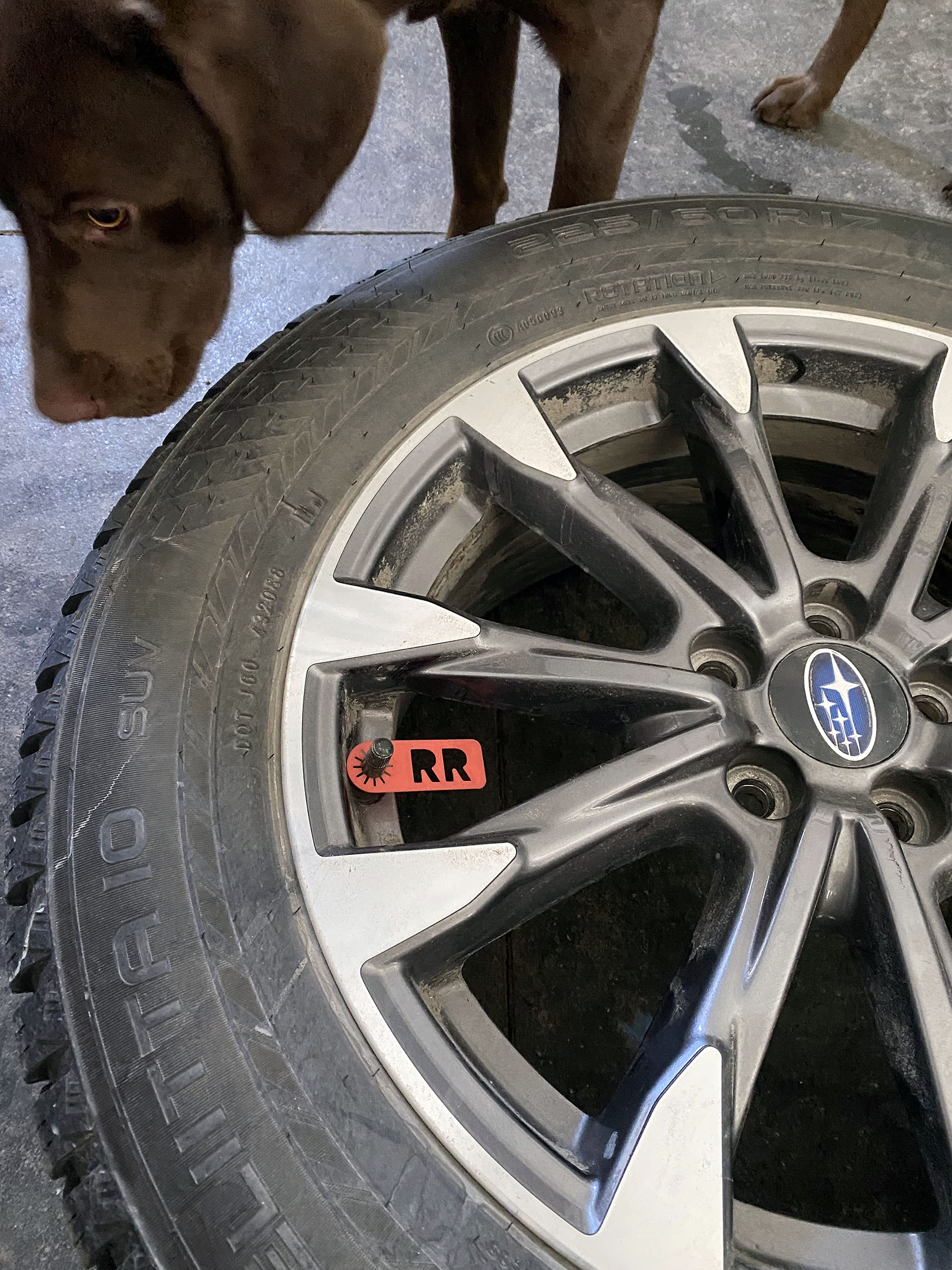 tire_indicator_rotation