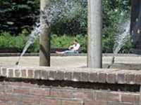 reading_in_the_park