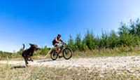 01_rf433_control_camera_taiga_run_bike