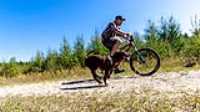 02_rf433_control_camera_taiga_run_bike