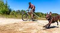 07_rf433_control_camera_taiga_run_bike