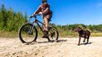 14_rf433_control_camera_taiga_run_bike
