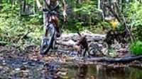 19_rf433_control_camera_taiga_run_bike