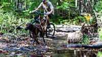 20_rf433_control_camera_taiga_run_bike