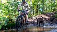 24_rf433_control_camera_taiga_run_bike