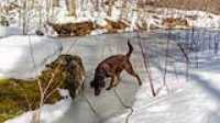 01_Taiga_MTB_trail_Snow