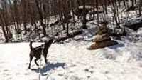 03_Taiga_MTB_trail_Snow