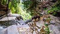 10_fall_jean-larose