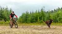 05_rf24g_control_taiga_run_bike_rain
