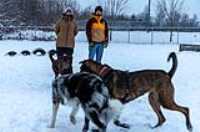 28_doggo_park_snow_24-70