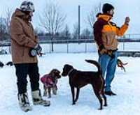 30_doggo_park_snow_24-70