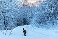 09_empire47_taiga_-20c