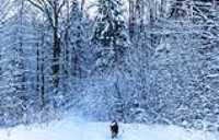 10_empire47_taiga_-20c