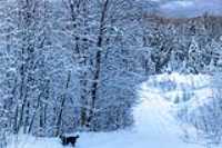 11_empire47_taiga_-20c