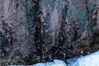 13_empire47_taiga_-20c