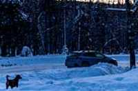 15_empire47_taiga_-20c