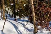 18_boucle_stoneham_rad_edit