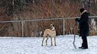08_doggo_park_70-200
