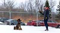 17_doggo_park_70-200