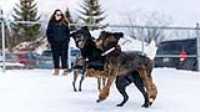 52_doggo_park_70-200