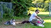 doggo_park_summer_05