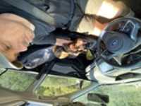roadtrip_kegashka_40