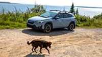 roadtrip_kegashka_43