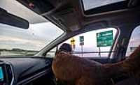 roadtrip_kegashka_50