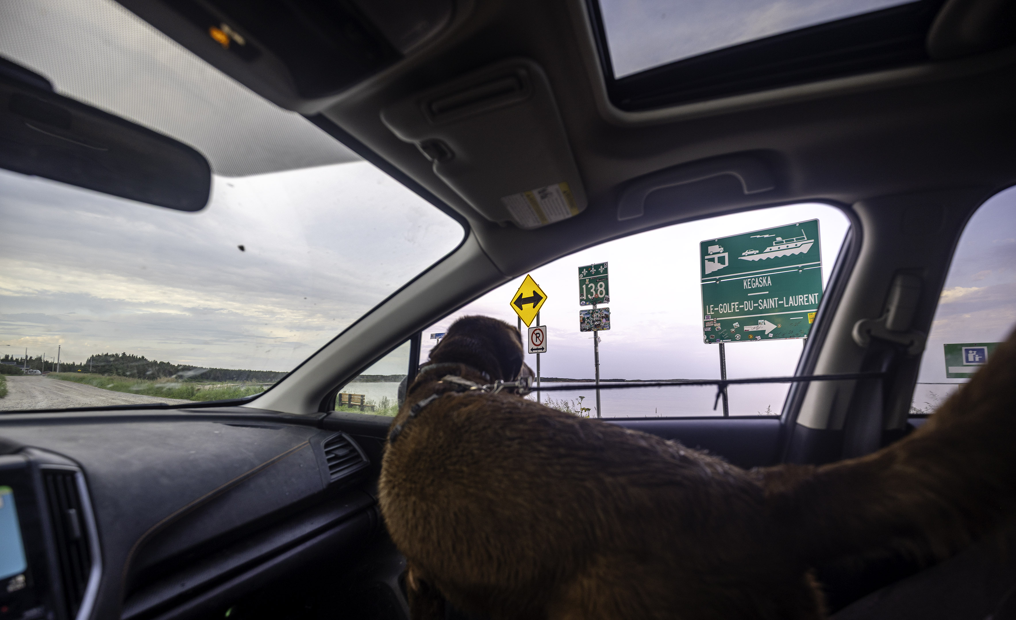 roadtrip_kegashka_50