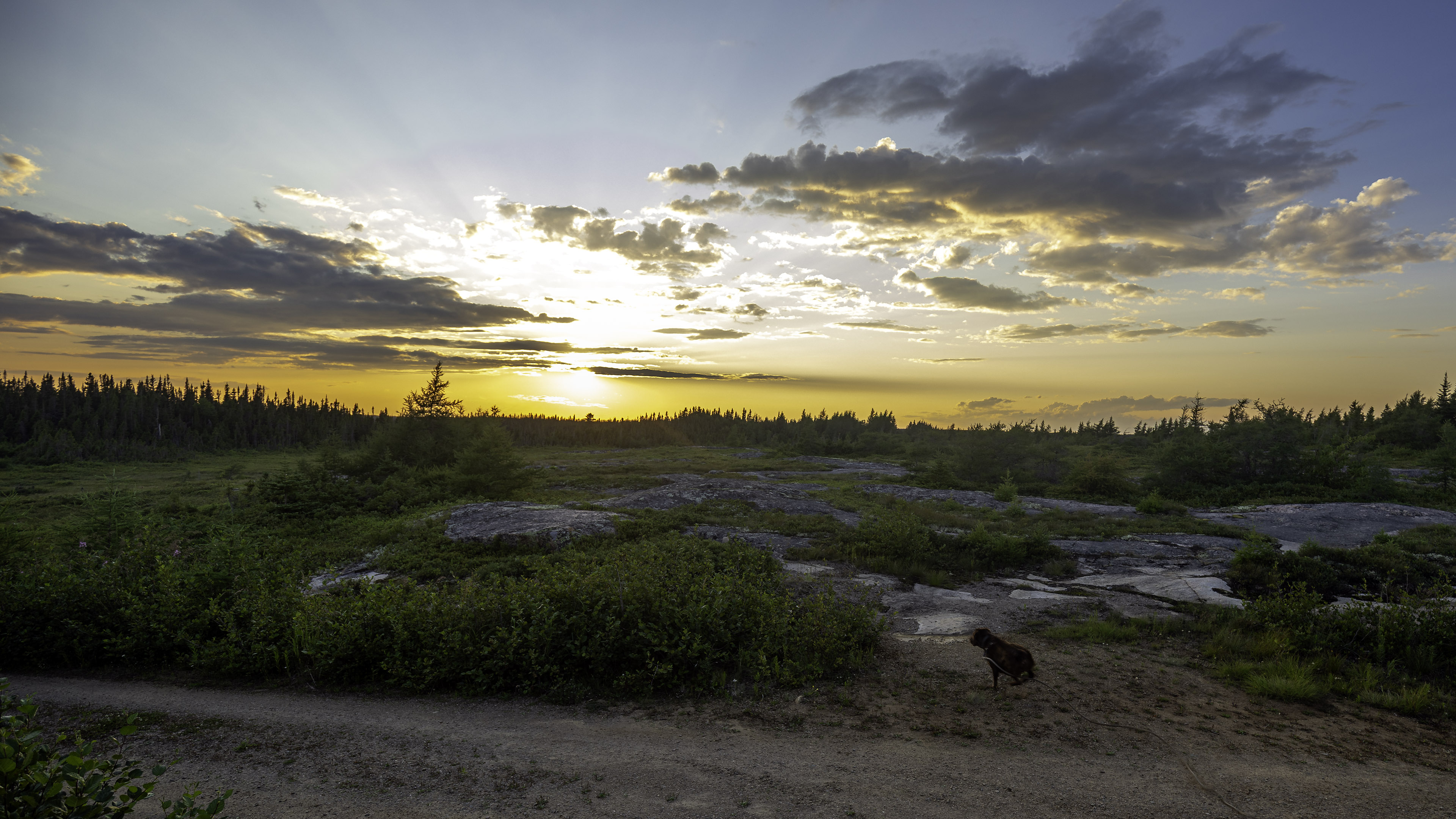 roadtrip_kegashka_51
