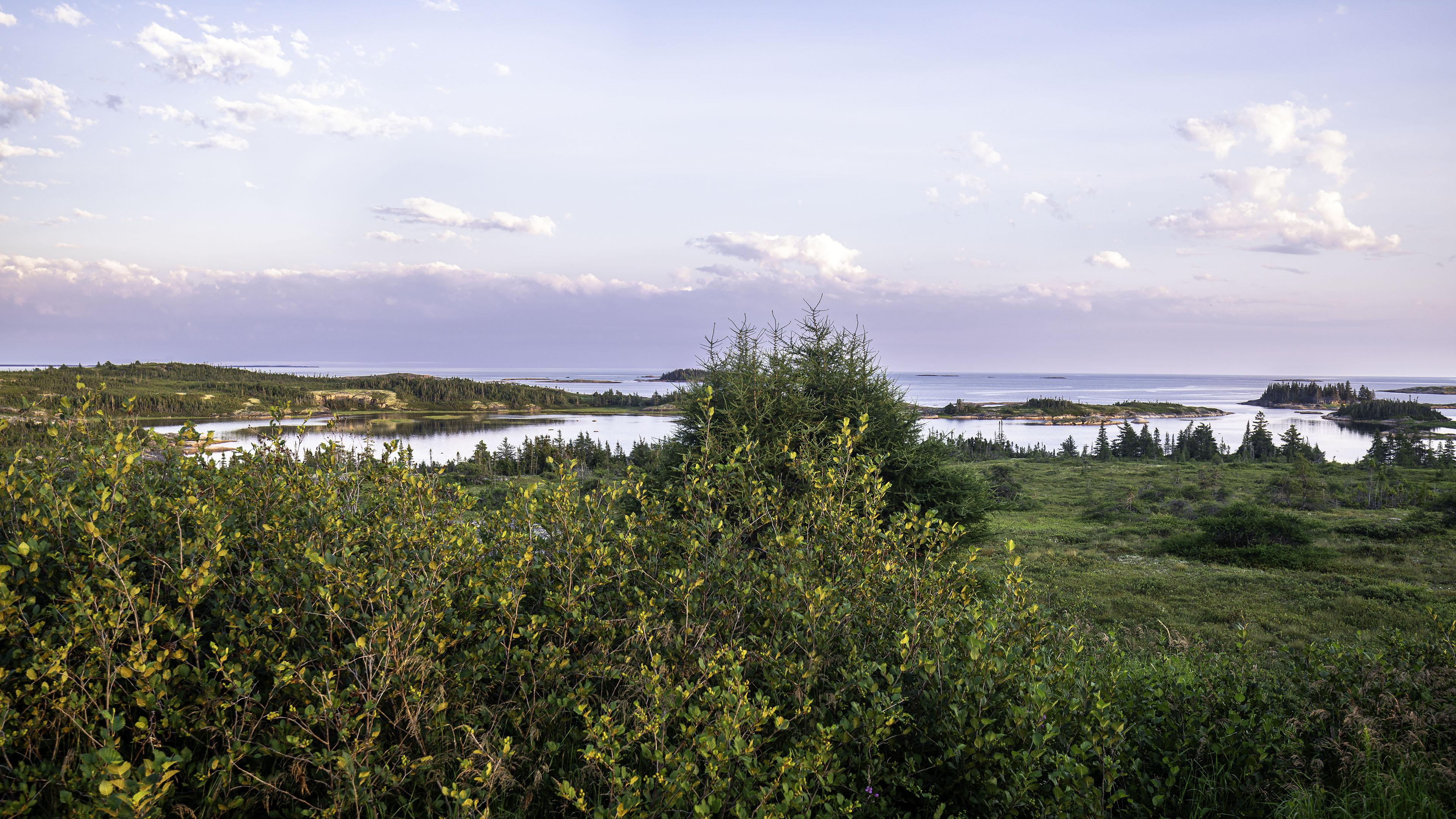 roadtrip_kegashka_52