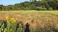 taiga_fetch_field