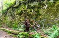 taiga_kona_roche_lichen