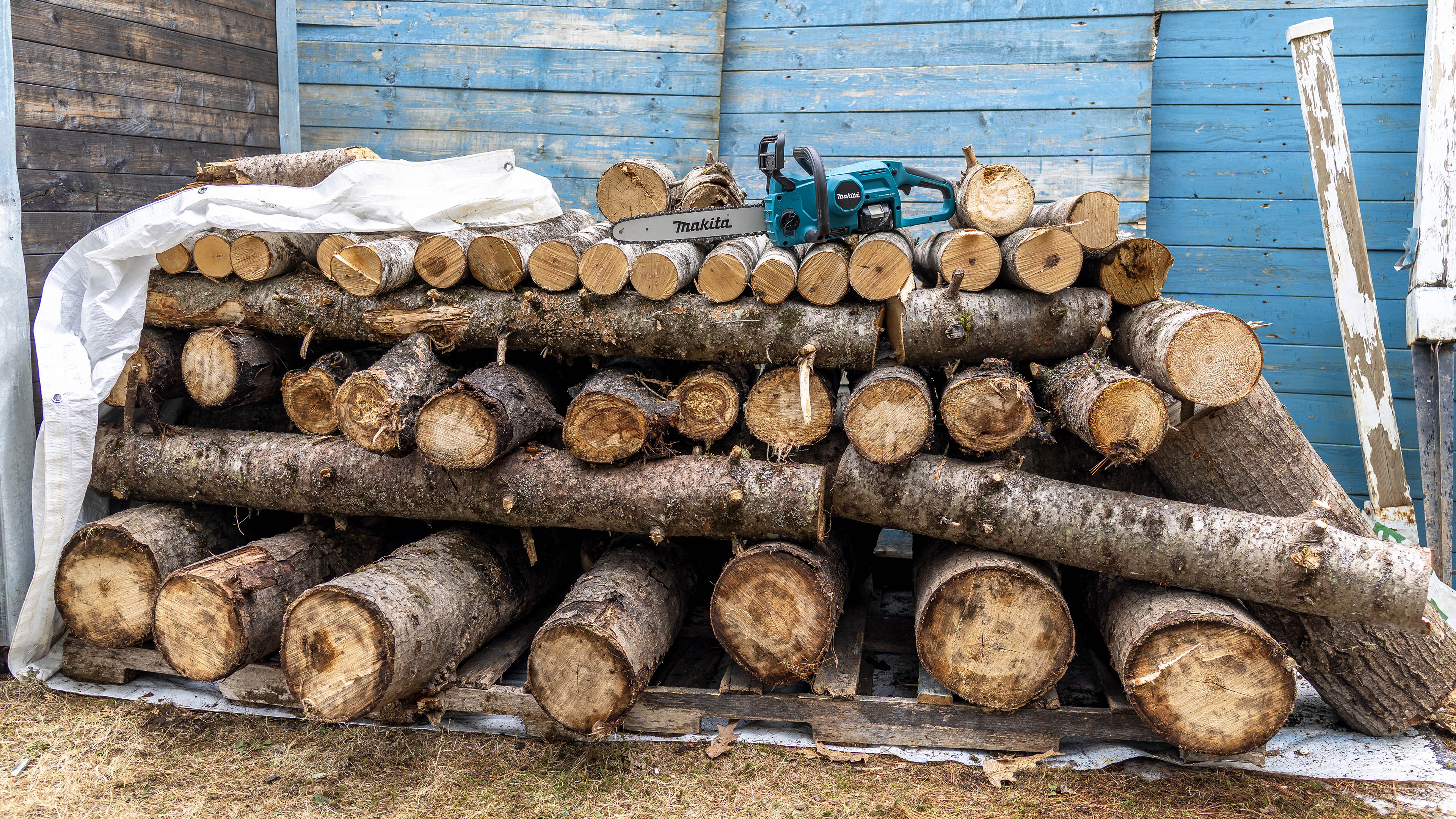 chainsaw_wood_pile_drying