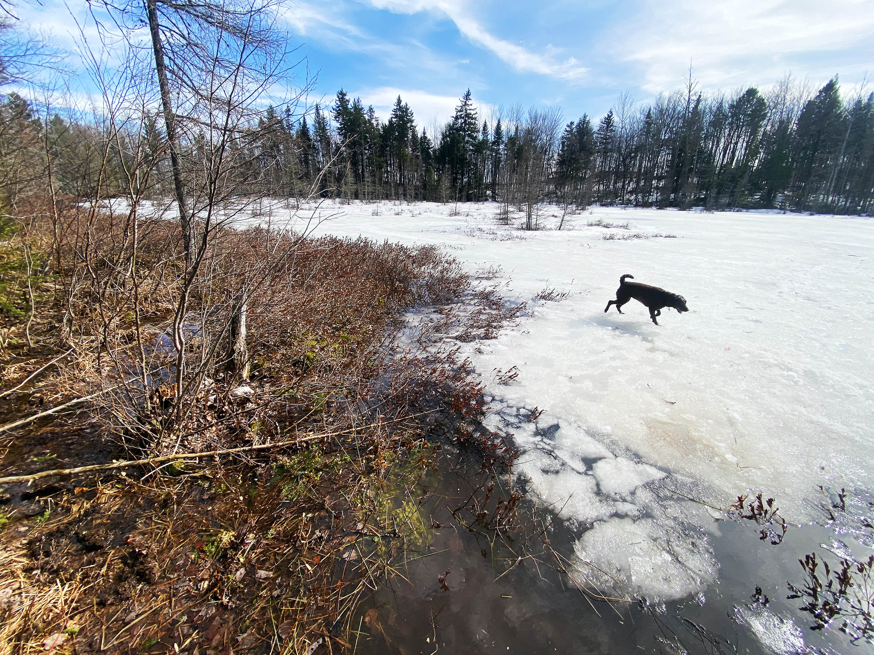 lake_unfreeze_taiga_ice