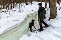 elz_dog_snowshoes_river