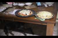 pizza_duo_dog