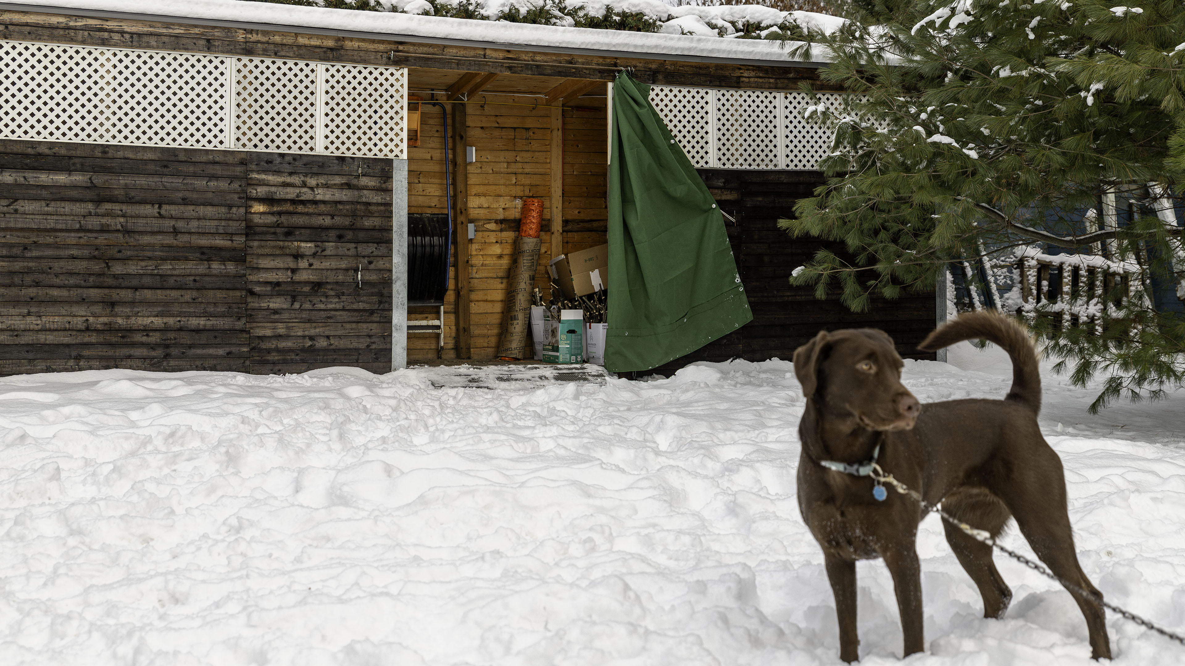 firewood_shed_green_tarp_open
