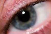 cils