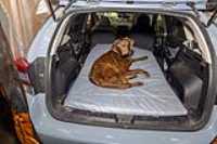car_mat_rear