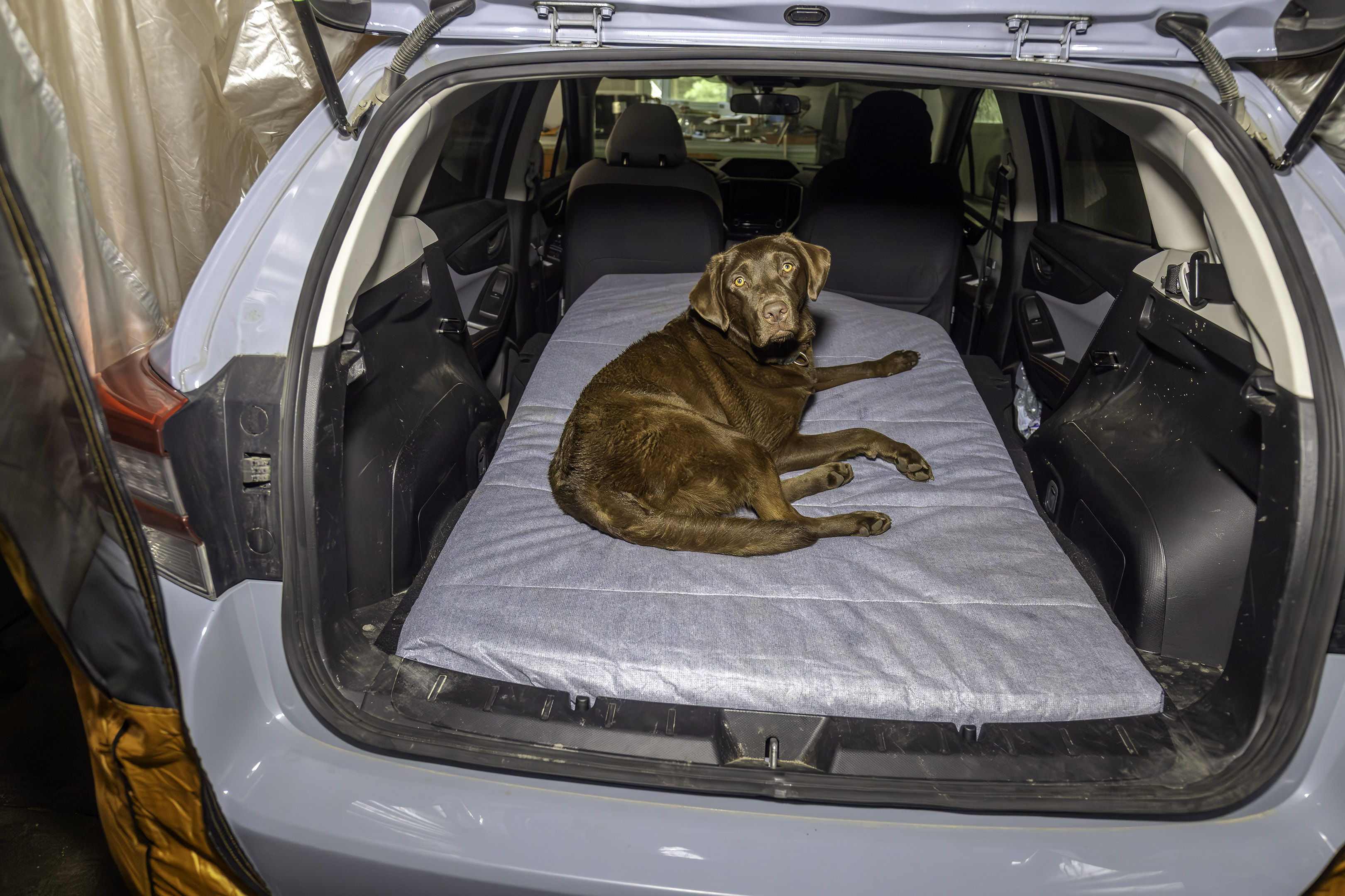 car_mat_rear