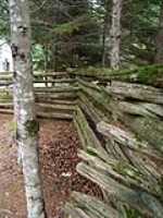 wooden_fence