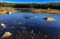 taiga_lac-boivin_mt-belair