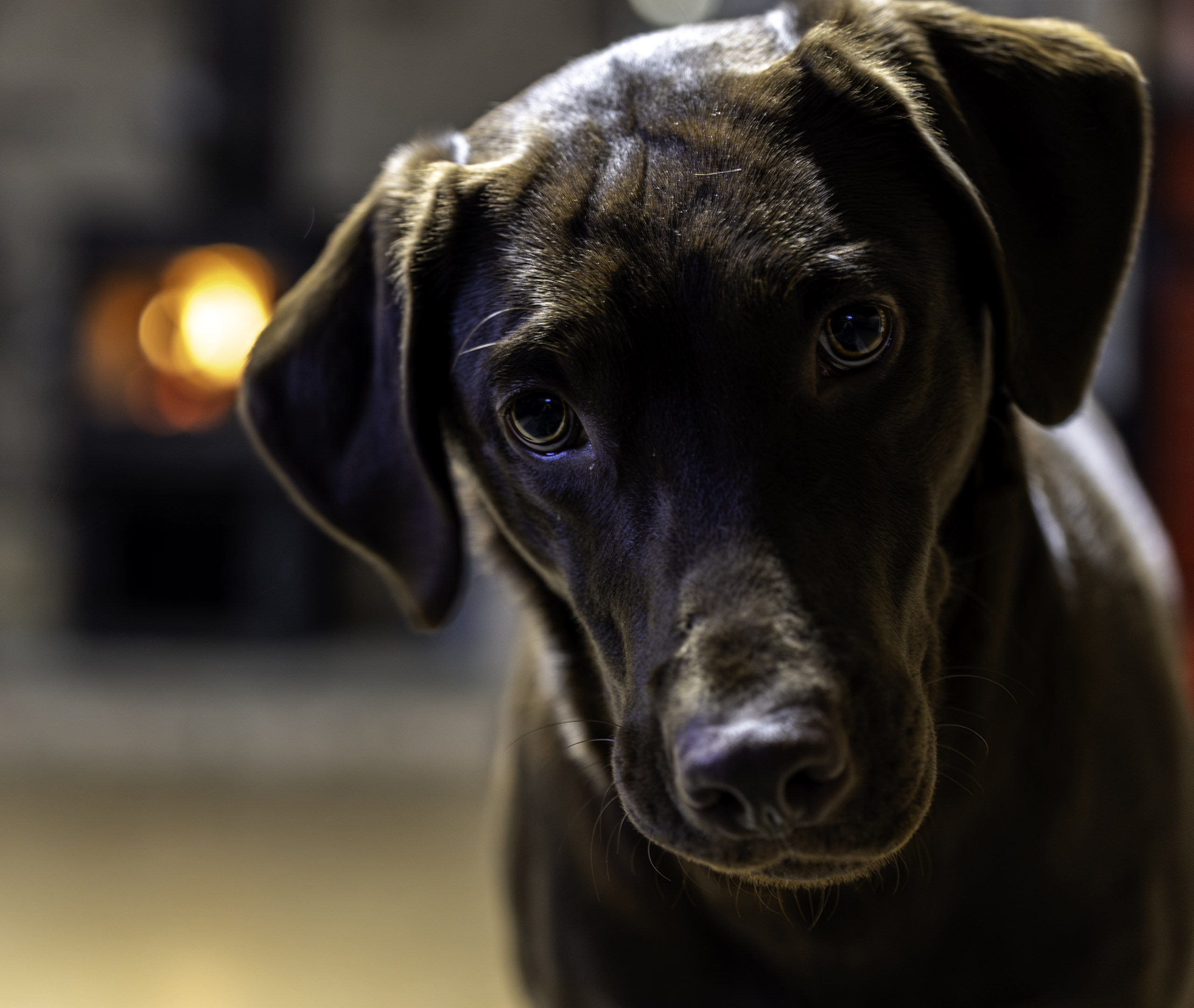 r6mk3_70-200Z_first_taiga_fire